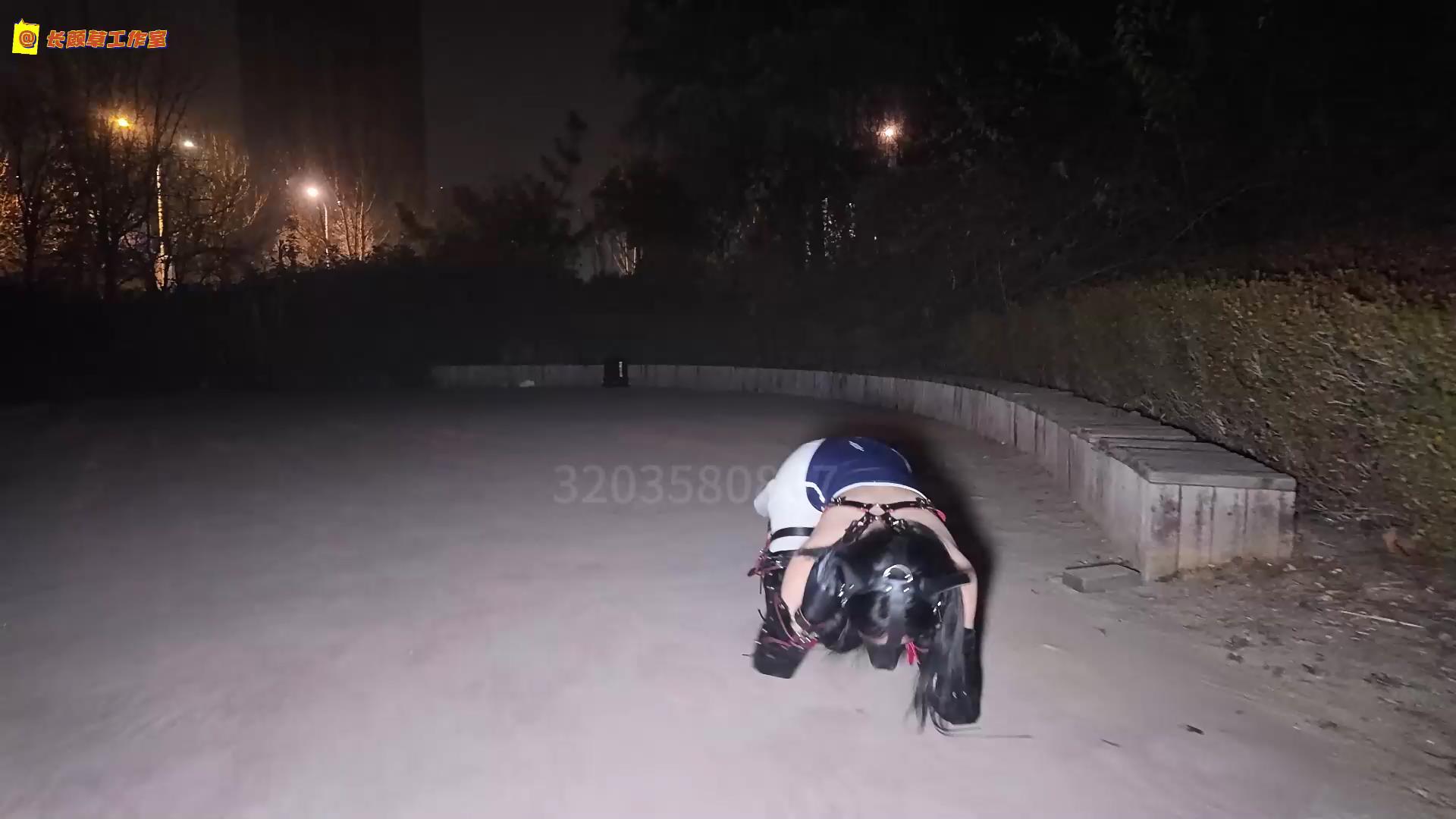 长颜草 公园里的人形犬 霜喵k9户外遛狗[00_02_33][20250504-102433].jpg