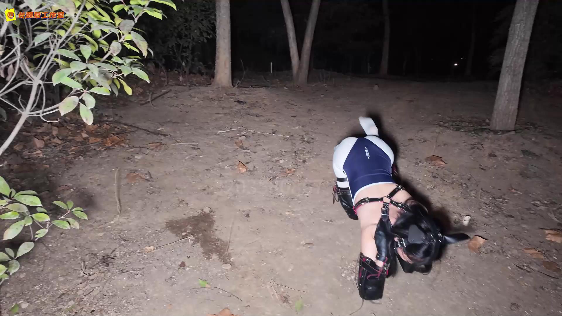 长颜草 公园里的人形犬 霜喵k9户外遛狗[00_17_46][20250504-102445].jpg
