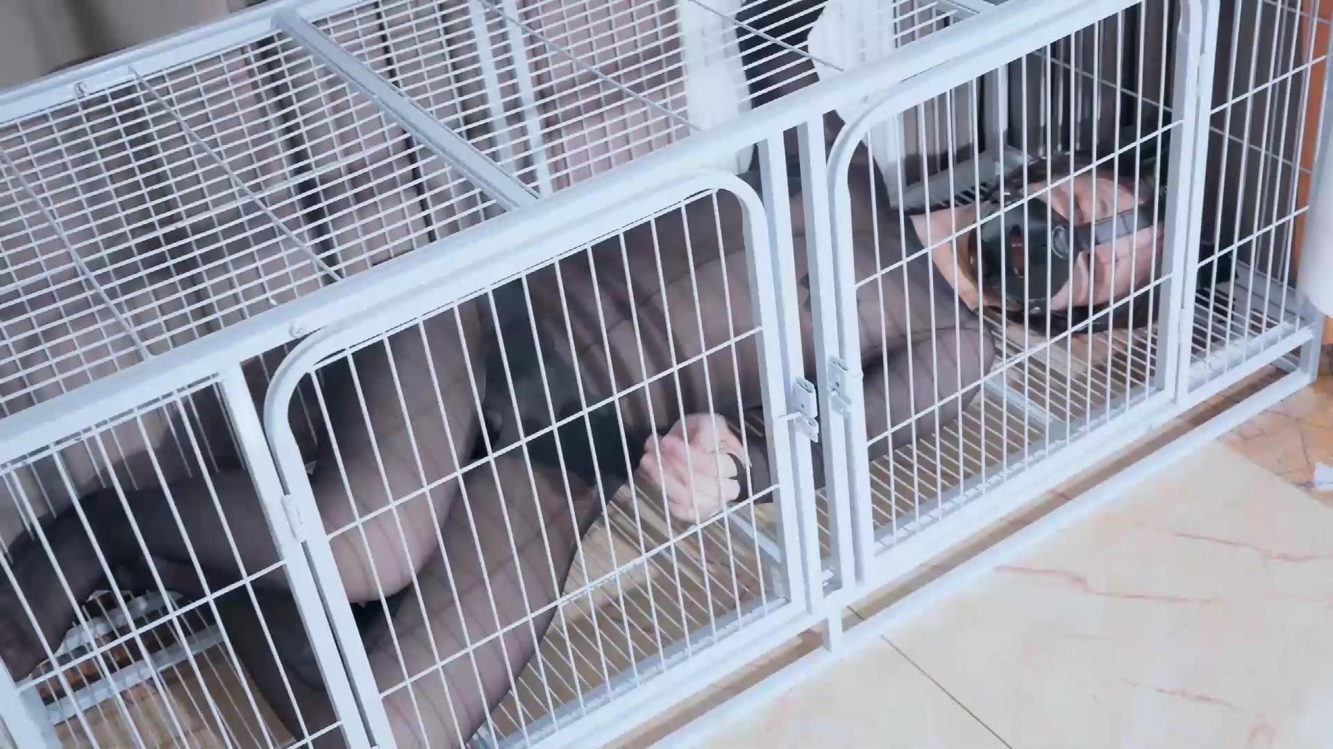 噗叽 被俘的K9小狗 变成K9小狗的珊瑚[00_00_10][20250909-133023].jpg