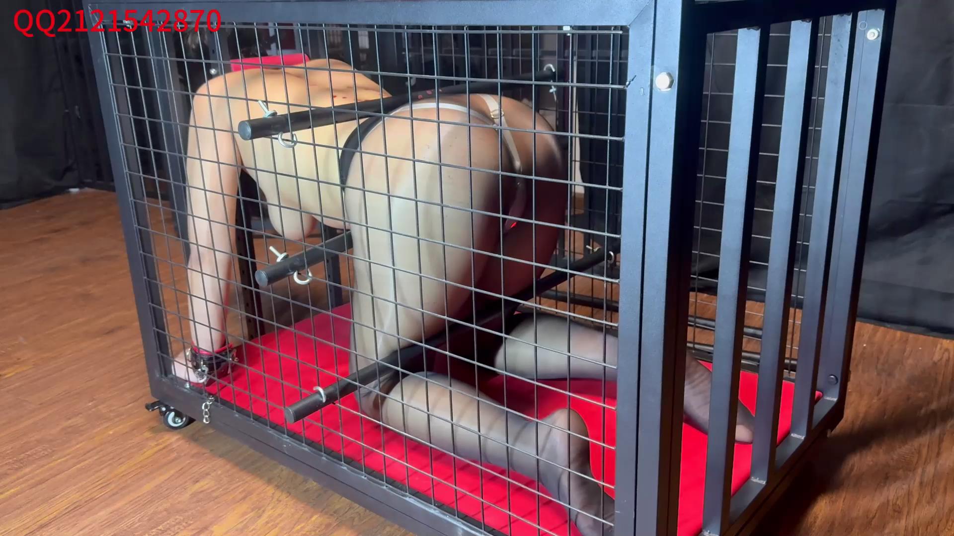 悦感日记 小美狗笼囚禁强制炮J滴蜡多时间[00_08_40][20251128-142135].jpg