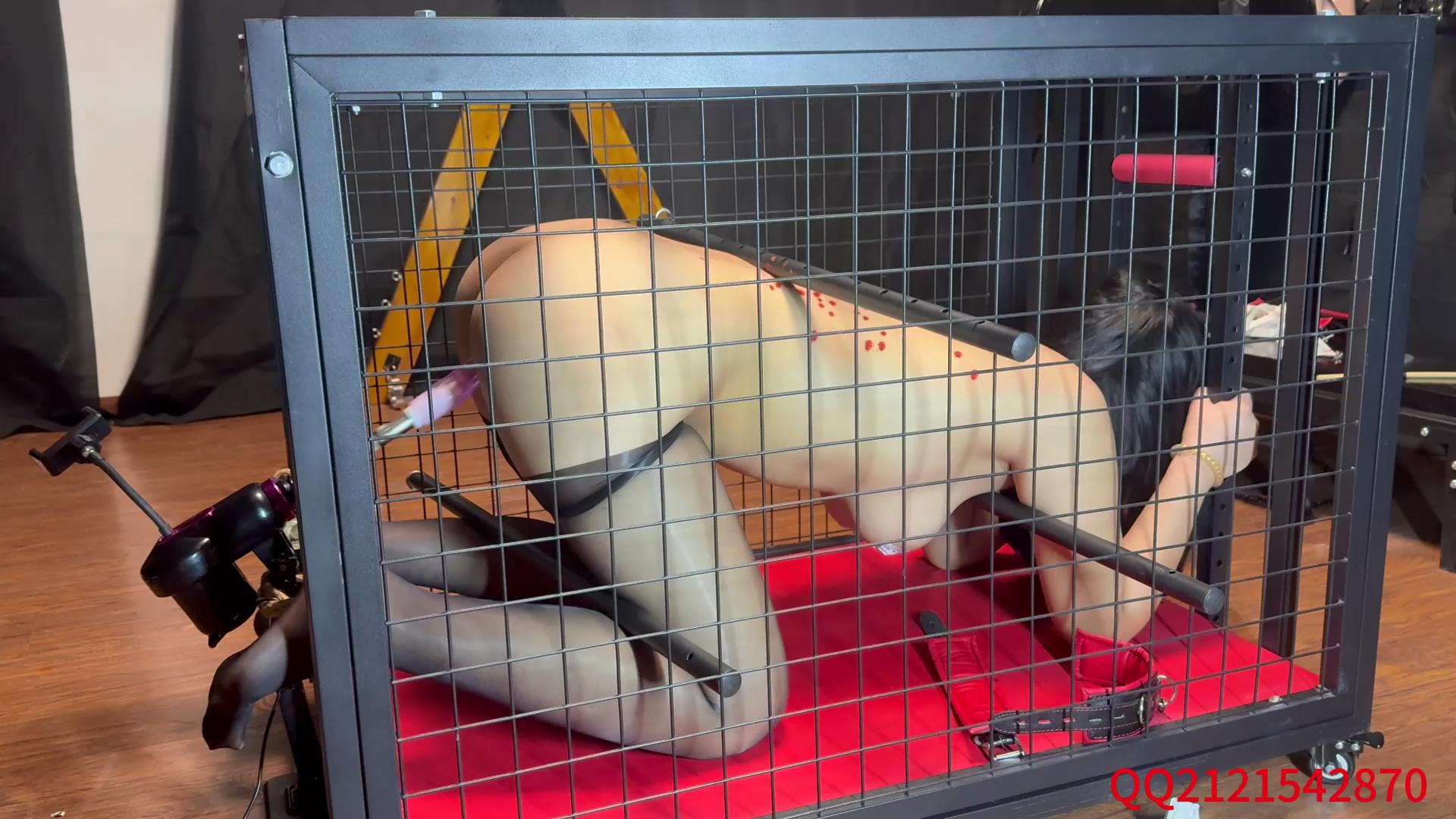 悦感日记 小美狗笼囚禁强制炮J滴蜡多时间[00_19_37][20251128-142142].jpg