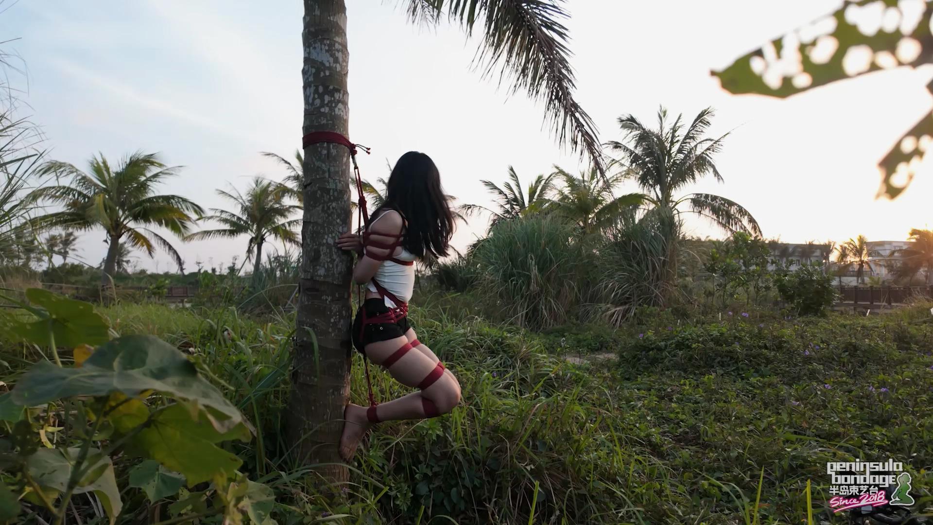 半岛束艺台-椰林奇遇 椰子主演[00_11_44][20251205-145229].jpg