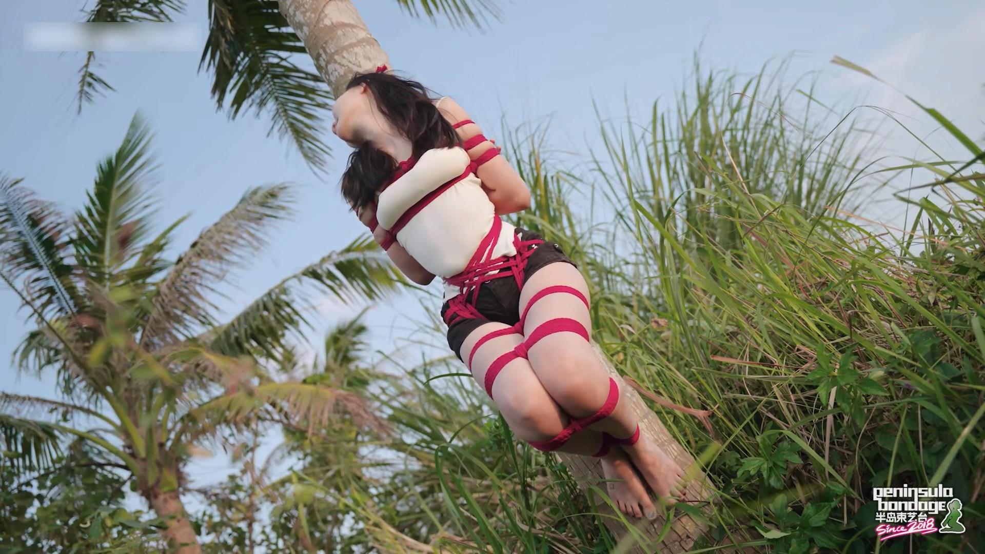 半岛束艺台-椰林奇遇 椰子主演[00_05_48][20251205-145217].jpg