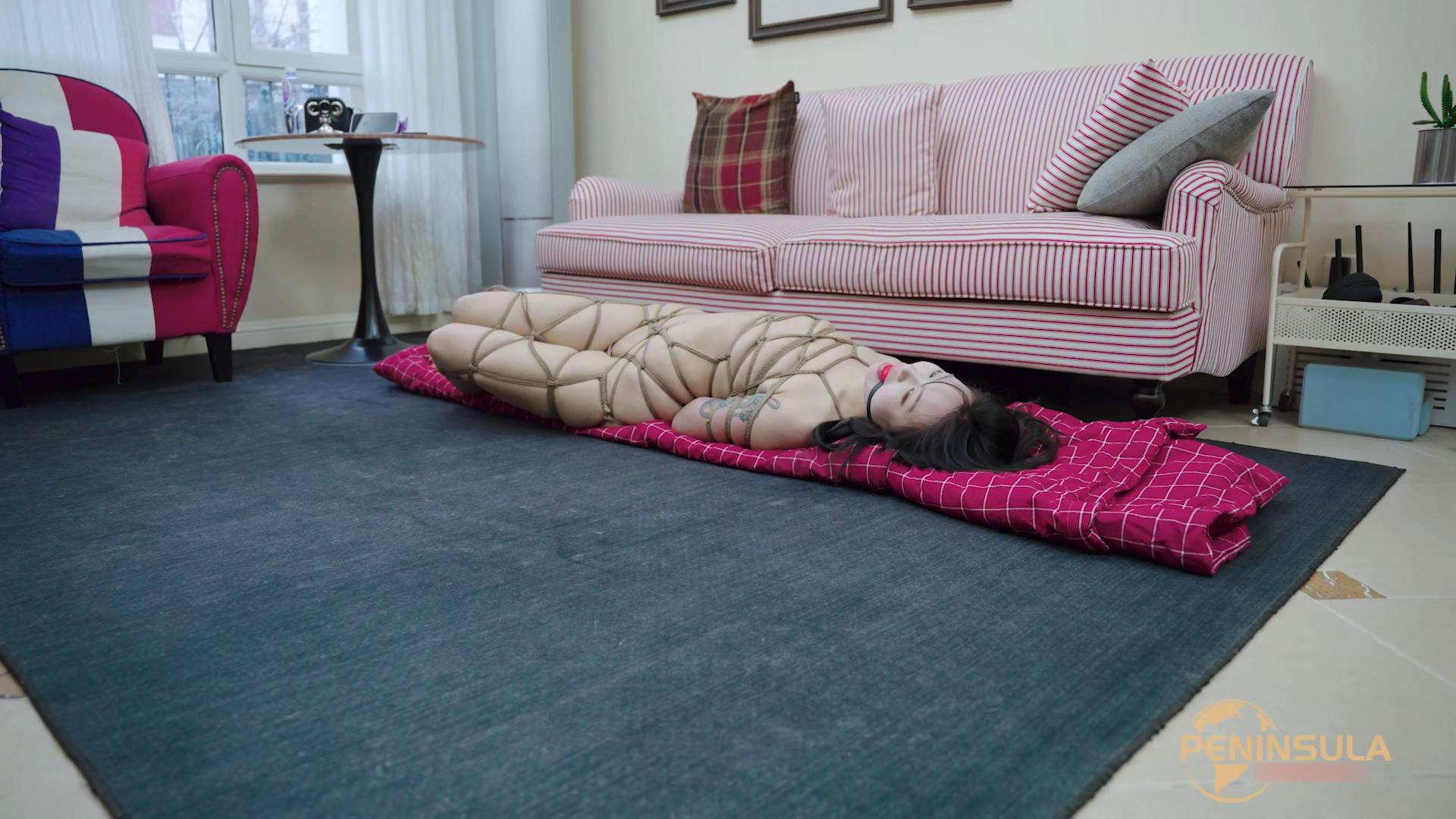 半岛束艺台-最怕台长太闲 波雅主演[00_15_17][20251227-152552].jpg