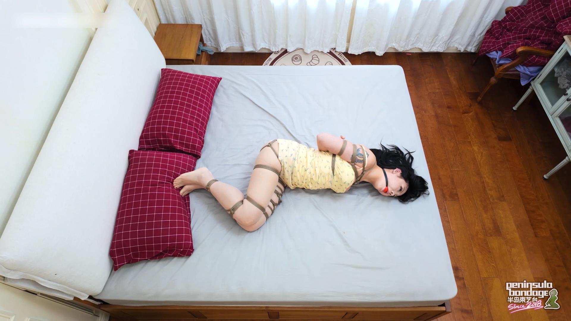 半岛束艺台-家里进了蜜蜂 波雅主演[00_19_35][20260105-150257].jpg