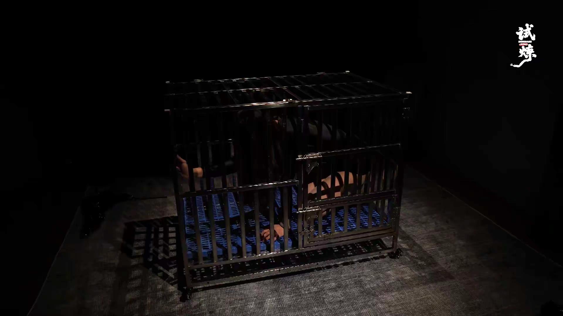 试炼 诺米 家教遇难记 微剧情k9金属啵[01_14_49][20260109-134616].jpg