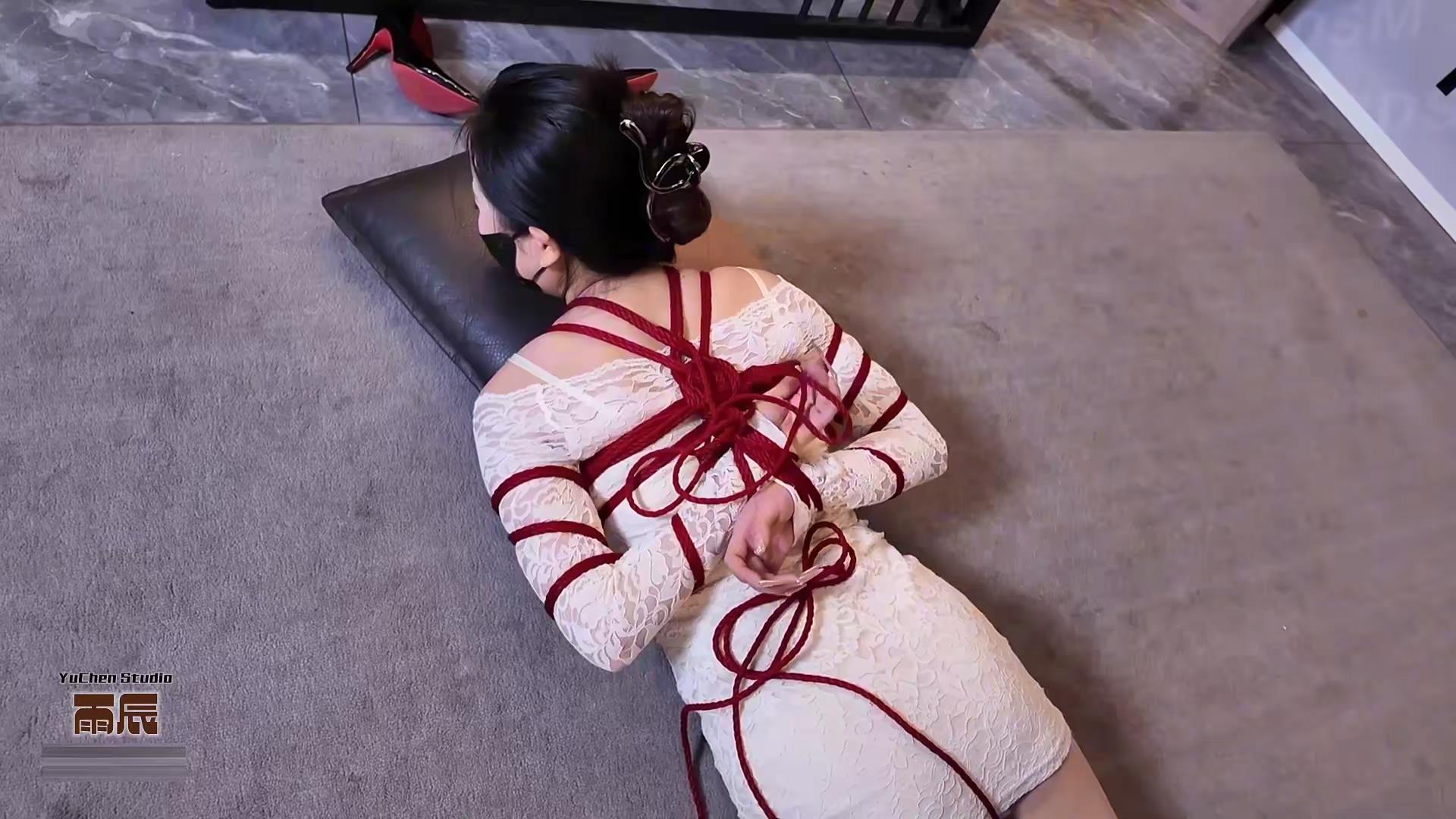 雨辰工作室-小k9养成记 下[00_38_33][20260122-144121].jpg