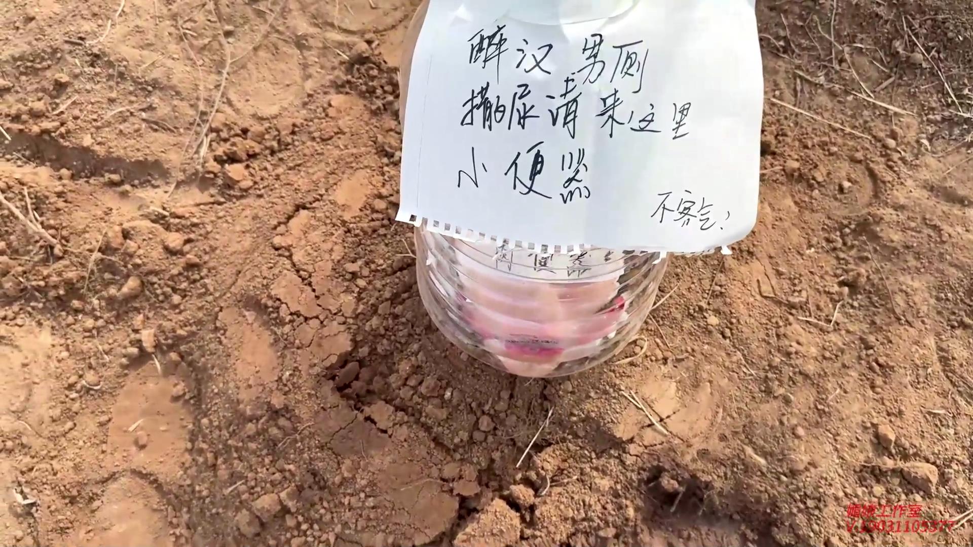 媚娘工作室 活埋-荒野公厕[00_30_16][20260212-133303].jpg