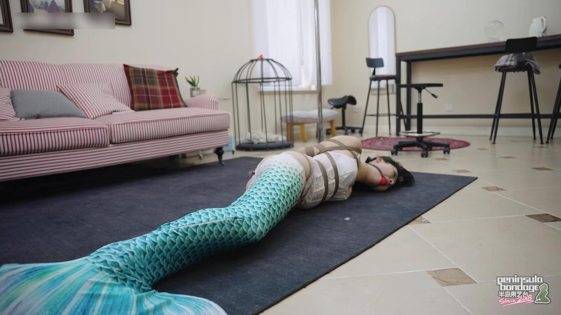 半岛束艺台-猫的礼物 佟司主演[00_05_13][20260220-124705].jpg