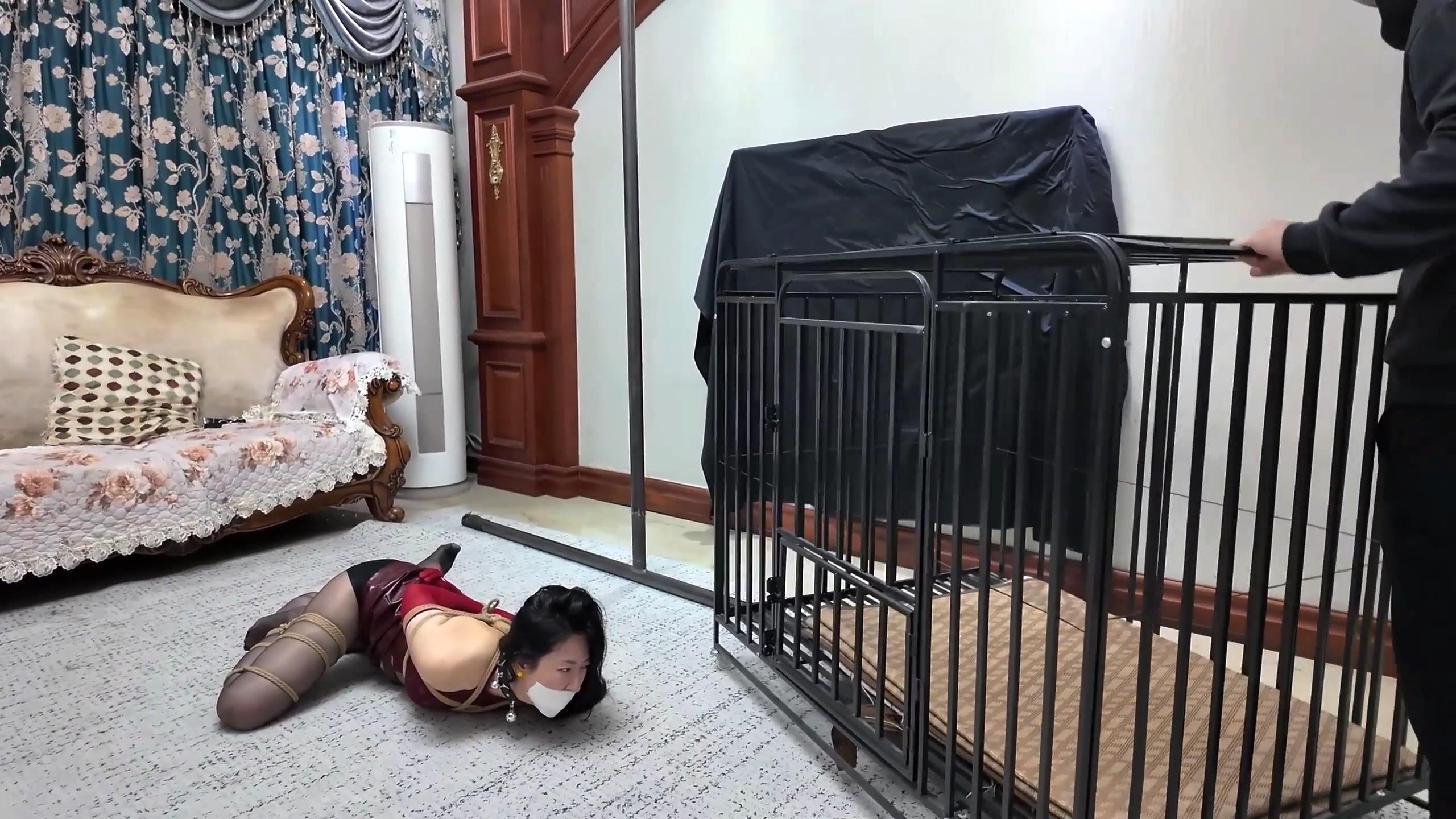 枫叶工作室-彩虹与黑猫 黑猫小分队 莫璃[00_15_41][20260309-103555].jpg