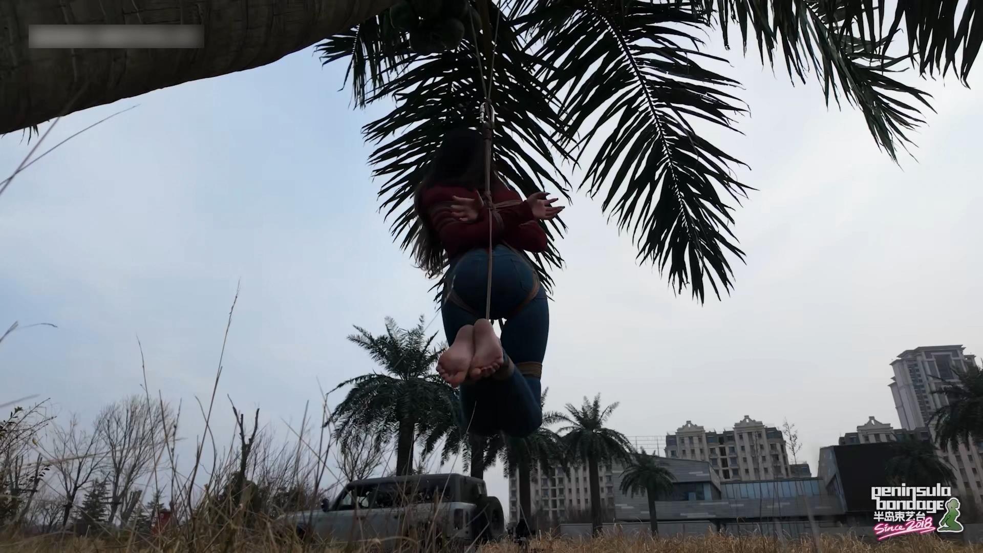 半岛束艺台-冬天的椰子树 星眠主演[00_18_10][20260317-101624].jpg