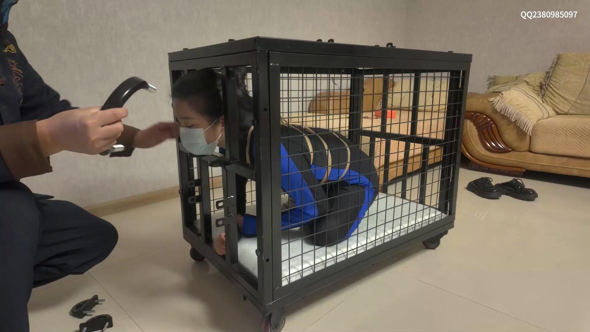 道士下山 自傅 狗笼放置 囚禁[00_17_33][20260325-121247].jpg