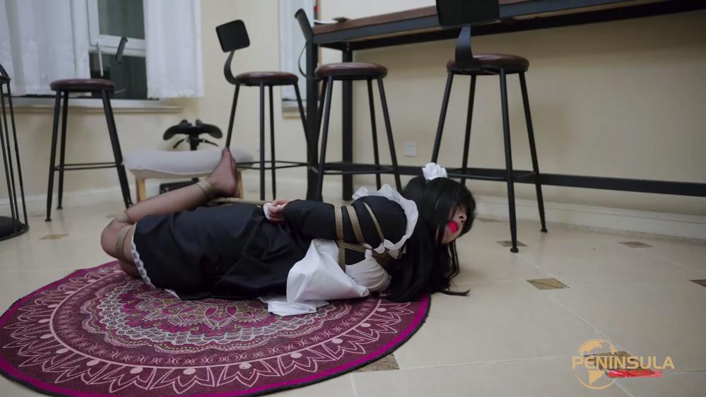 半岛束艺 女仆的噩梦 上篇[00_18_33][20260406-155136].jpg