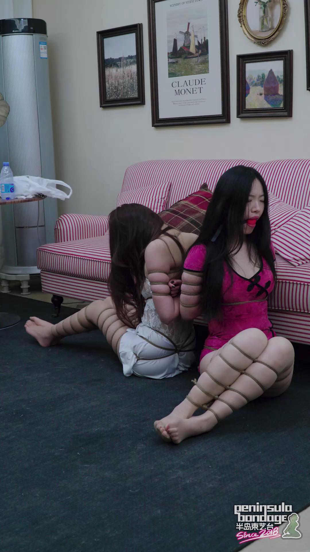 半岛束艺台-雪山救狐  海语、星眠主演[00_14_21][20260407-135238].jpg