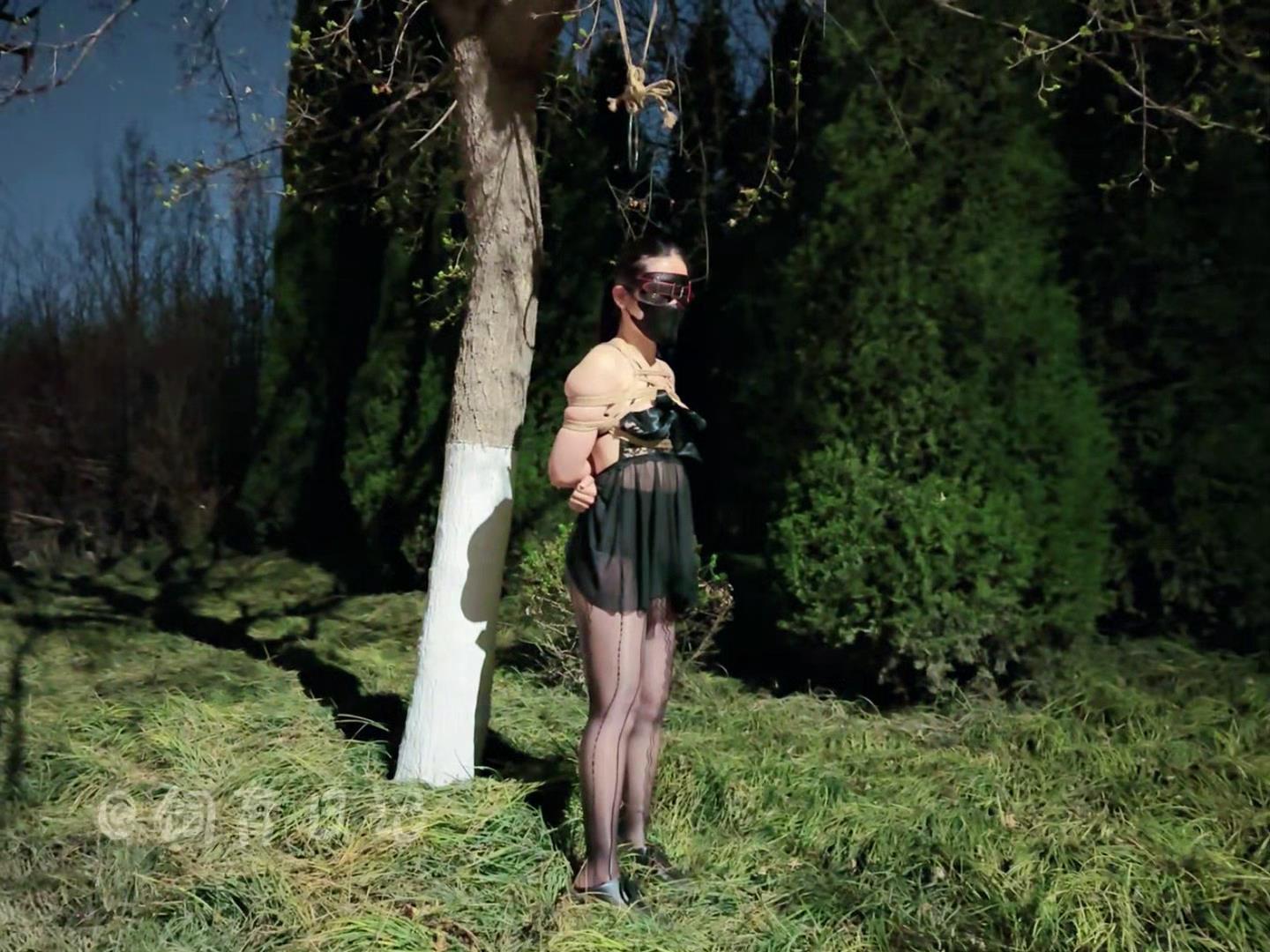 饲育日记 小狗の饲育日记 浅尝露出，月黑[00_00_01][20260412-094057].jpg