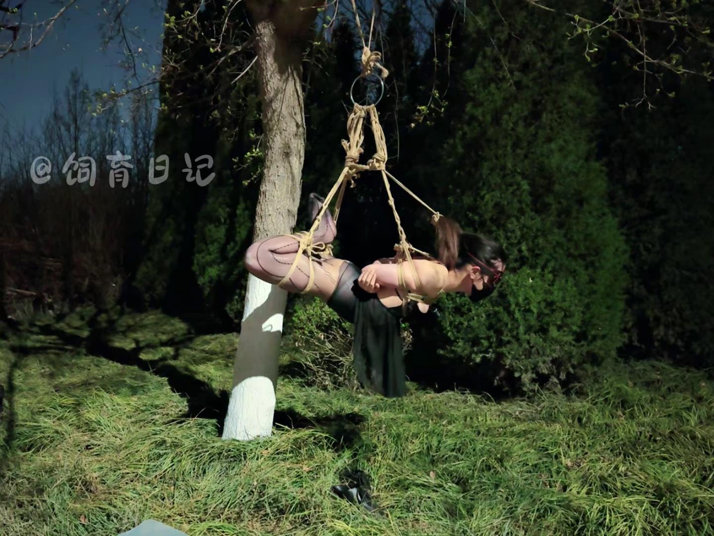 饲育日记 小狗の饲育日记 浅尝露出，月黑[00_11_37][20260412-094116].jpg