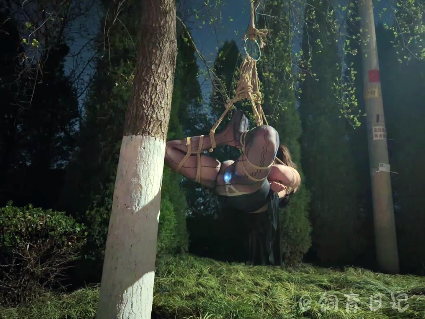 饲育日记 小狗の饲育日记 浅尝露出，月黑[00_21_54][20260412-094150].jpg