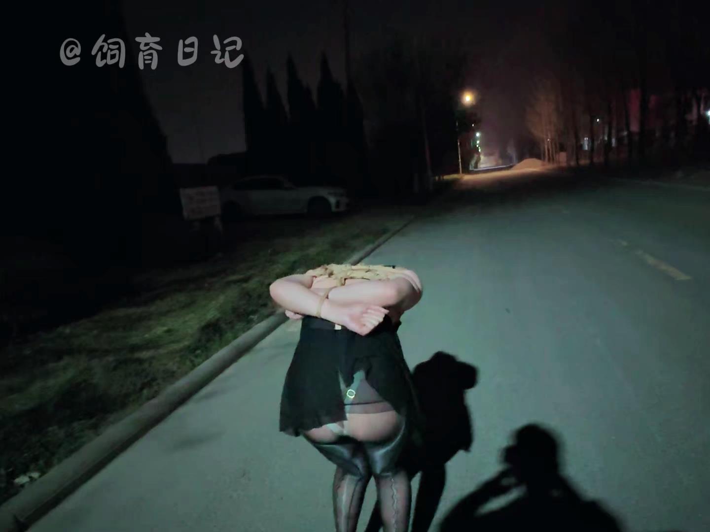 饲育日记 小狗の饲育日记 浅尝露出，月黑[00_29_14][20260412-094126].jpg