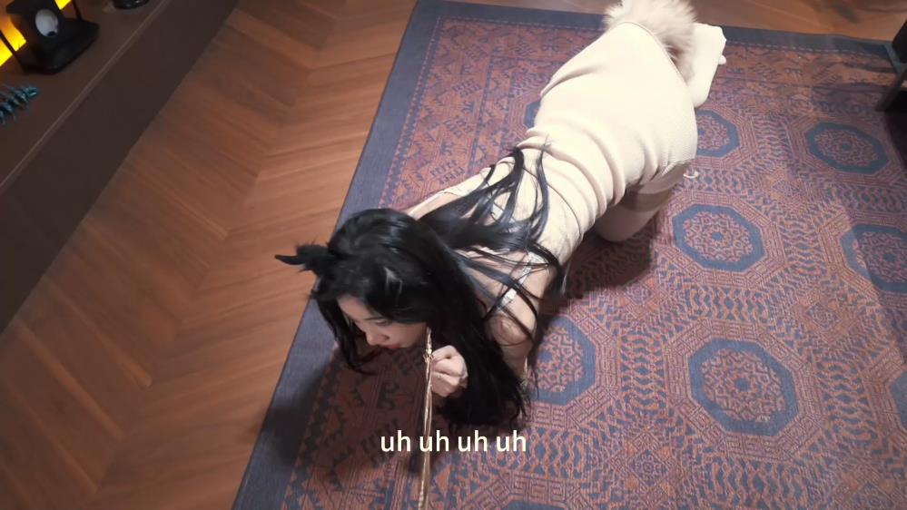 贝特原创 官官之猫咪公寓[00_52_26][20260417-111604].jpg