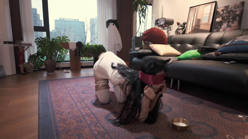 贝特原创 官官之猫咪公寓[00_55_33][20260417-111606].jpg