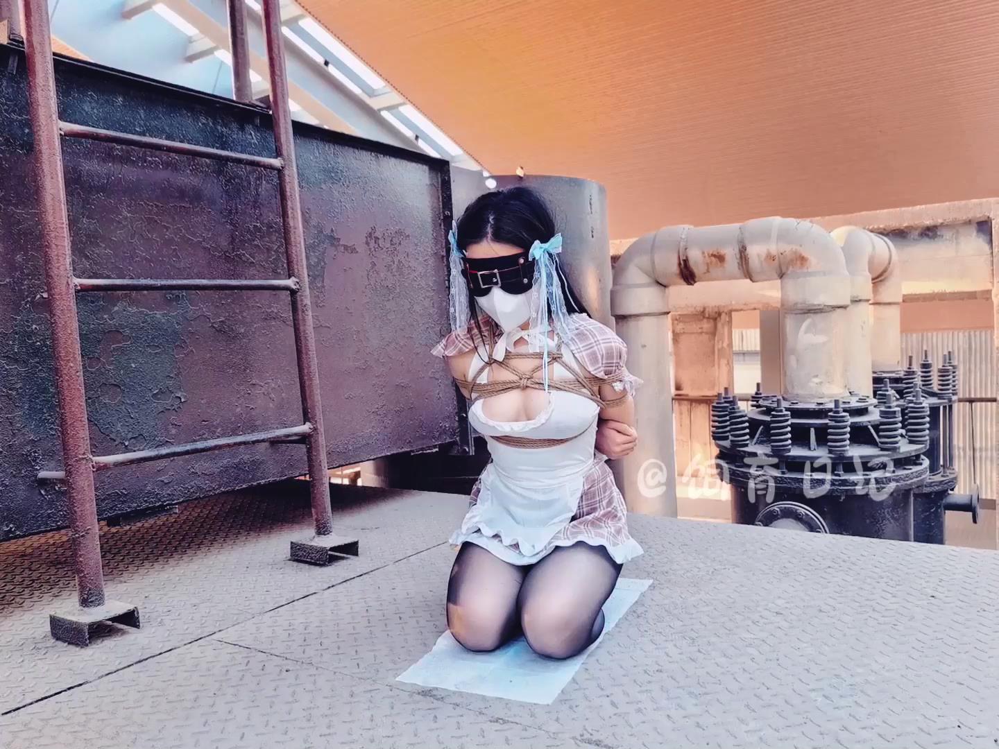 饲育日记 小狗の 工业遗迹，机器的轰鸣已[00_06_16][20260418-120554].jpg