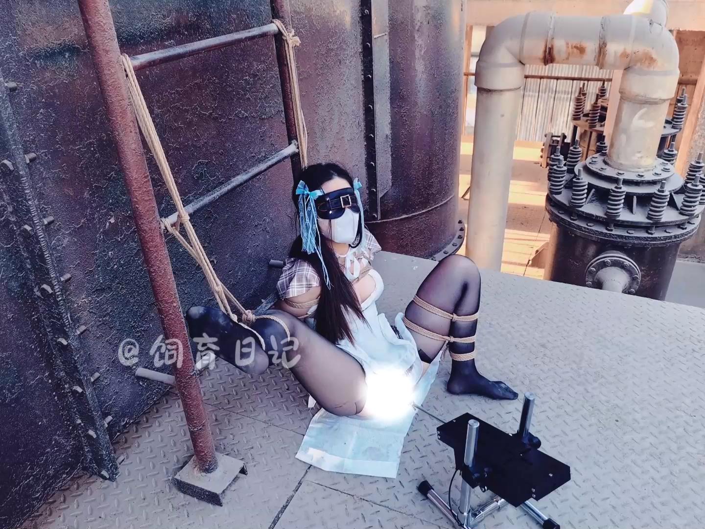 饲育日记 小狗の 工业遗迹，机器的轰鸣已[00_17_44][20260418-120541].jpg