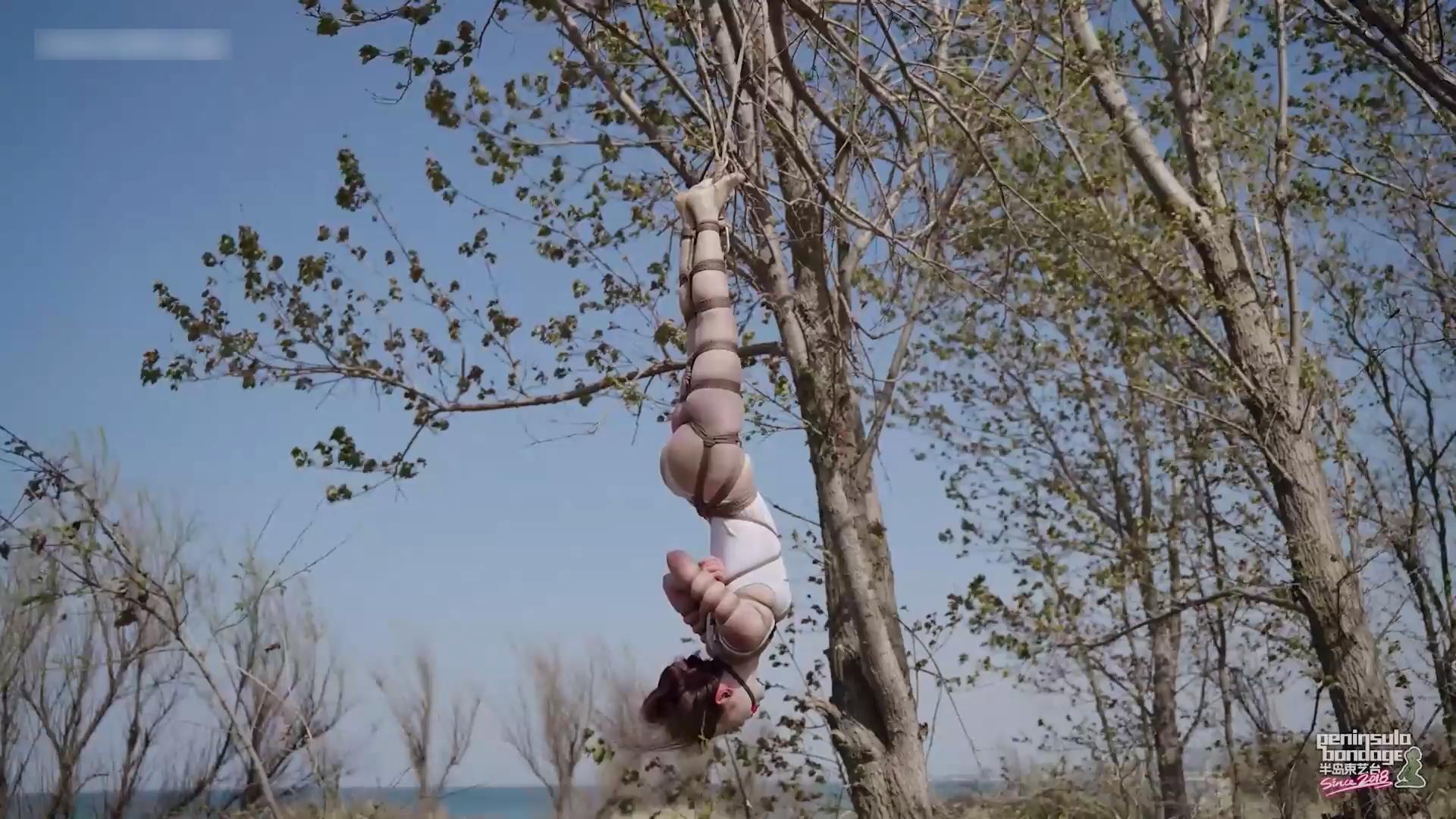 半岛束艺台-双树园 星眠主演[00_17_01][20260429-100029].jpg