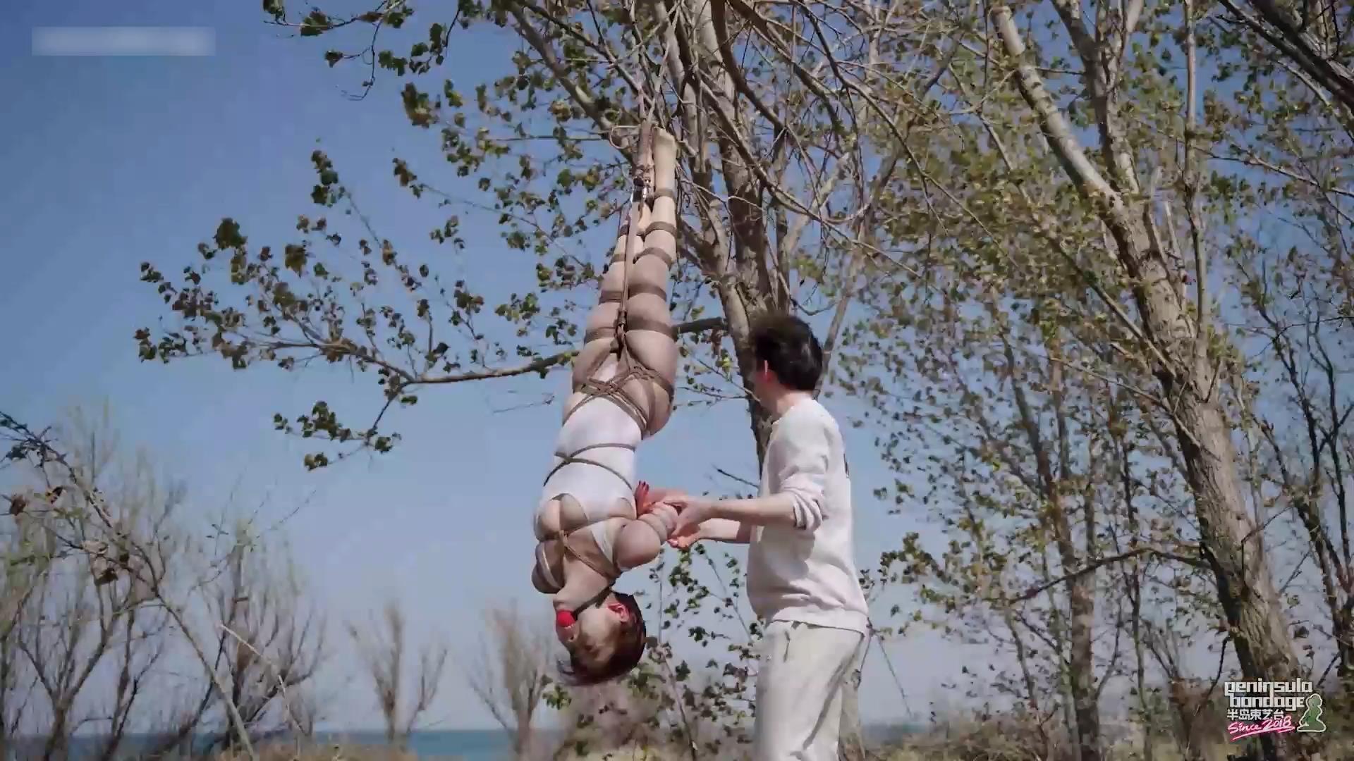 半岛束艺台-双树园 星眠主演[00_17_42][20260429-100031].jpg