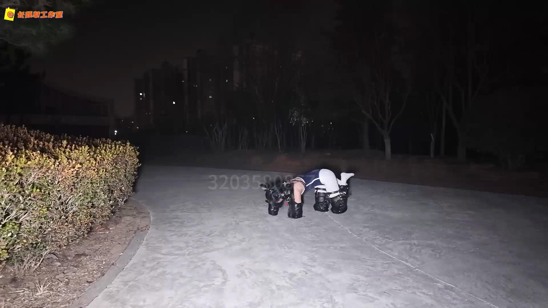 长颜草公园里的人形犬[00_03_32][20260804-130455].jpg