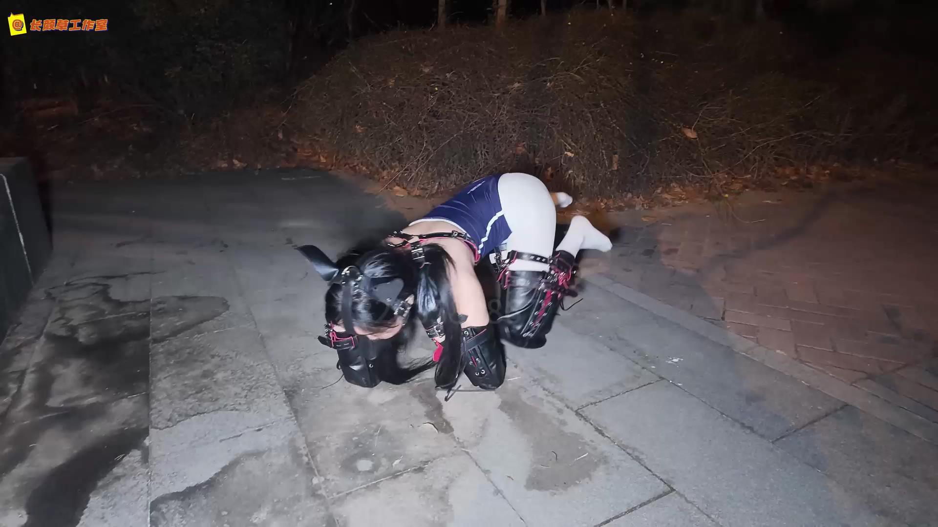 长颜草公园里的人形犬[00_07_43][20260804-130458].jpg