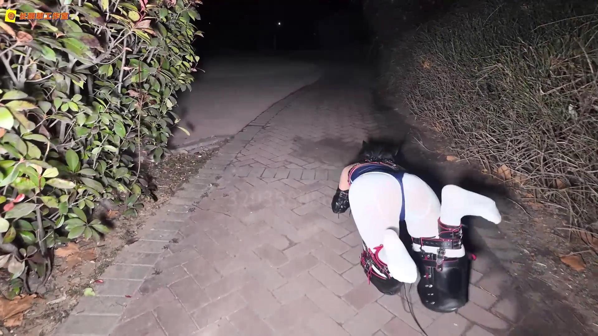 长颜草公园里的人形犬[00_20_57][20260804-130508].jpg