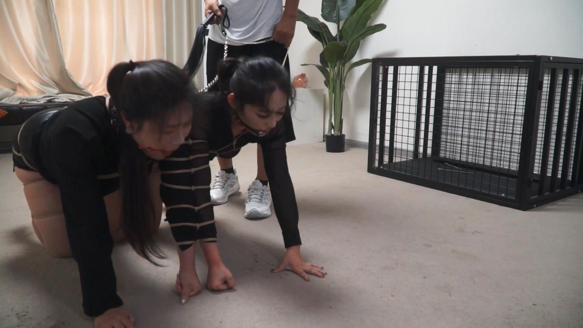 逍遥定制-SHU女姐妹2  熟女姐妹 下[00_16_18][20261007-122404].jpg