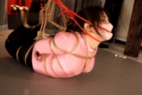 新M体验实录 上集
